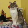 Отзыв от Кристина Дружинина